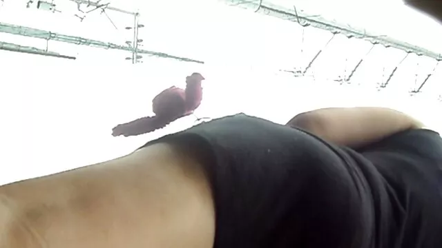 Cool porno reel compilation de sperme collant et chaud sur le visage de jeunes salopes